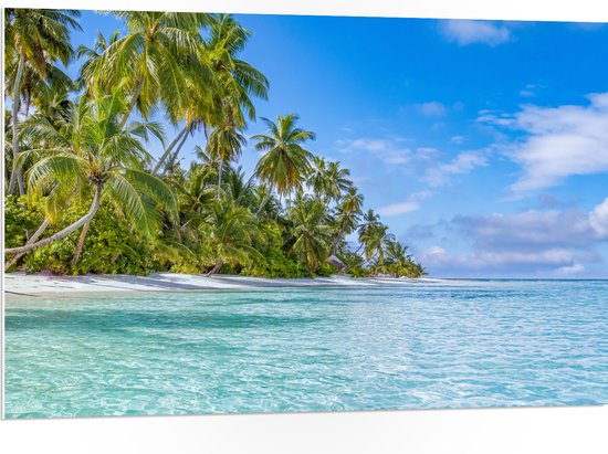 PVC Schuimplaat - Tropisch Strand met Palmbomen - 105x70 cm Foto op PVC Schuimplaat (Met Ophangsysteem)
