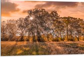 Dibond - Zonsondergang tussen de Bomen - 105x70 cm Foto op Aluminium (Wanddecoratie van metaal)