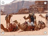 WallClassics - Tuinposter – Kamelen in de Woestijn - 40x30 cm Foto op Tuinposter (wanddecoratie voor buiten en binnen)