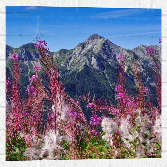Muursticker - Prachtige Bloemen aan de Rand van Cliff in Berggebied - 50x50 cm Foto op Muursticker