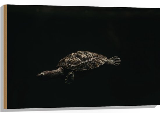 WallClassics - Hout - Schildpad zwemmend in Zwart Water - 90x60 cm - 9 mm dik - Foto op Hout (Met Ophangsysteem)