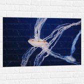 WallClassics - Muursticker - Kwal in Donkere Oceaan - 90x60 cm Foto op Muursticker