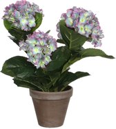 Plante Artificielle Mica Decorations Hortensia - H40 x Ø35 cm - Pot en terre cuite - Violet