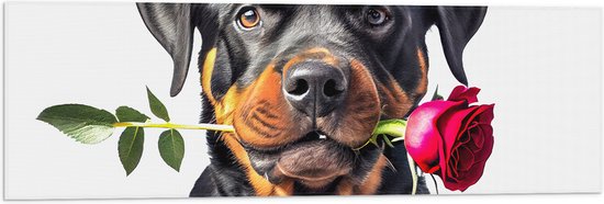 Vlag - Romantische Rottweiler Hond met Roos tegen Witte Achtegrond - 90x30 cm Foto op Polyester Vlag