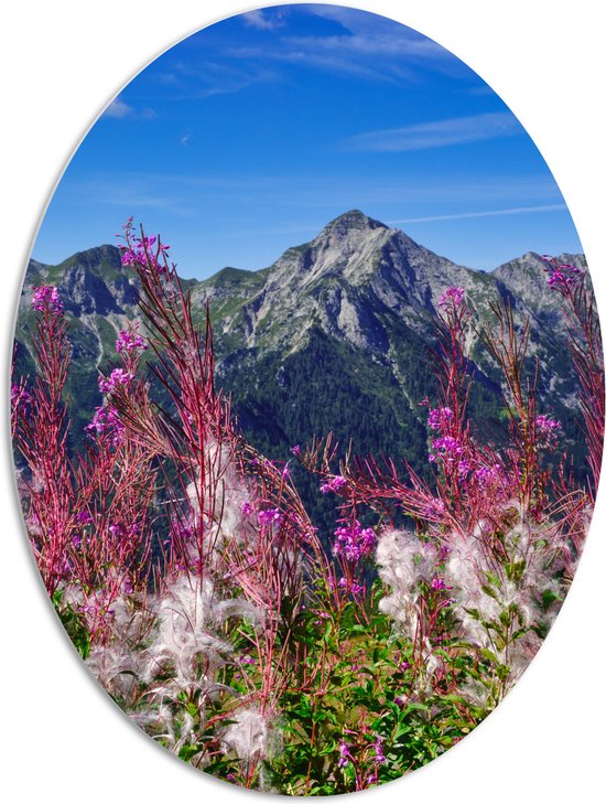 PVC Schuimplaat Ovaal - Prachtige Bloemen aan de Rand van Cliff in Berggebied - 72x96 cm Foto op Ovaal (Met Ophangsysteem)