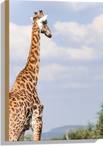 Hout - Achteraanzicht van Giraffe - 40x60 cm - 9 mm dik - Foto op Hout (Met Ophangsysteem)