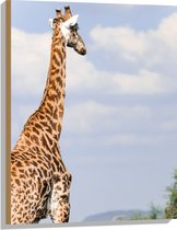 Hout - Achteraanzicht van Giraffe - 60x80 cm - 9 mm dik - Foto op Hout (Met Ophangsysteem)