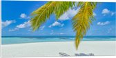 Acrylglas - Palmbladeren Hangend voor Tropisch Eiland met Breed Strand - 100x50 cm Foto op Acrylglas (Met Ophangsysteem)
