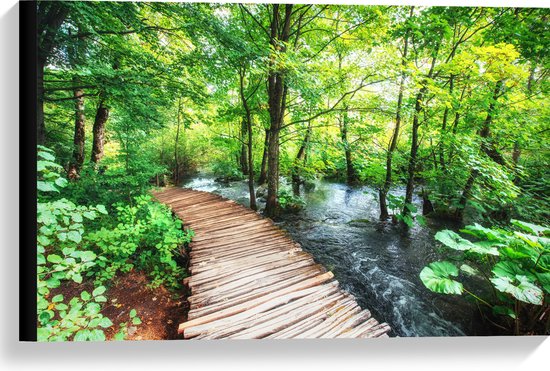 Canvas - Houten Pad over Rivier in Groen Bos - 60x40 cm Foto op Canvas Schilderij (Wanddecoratie op Canvas)