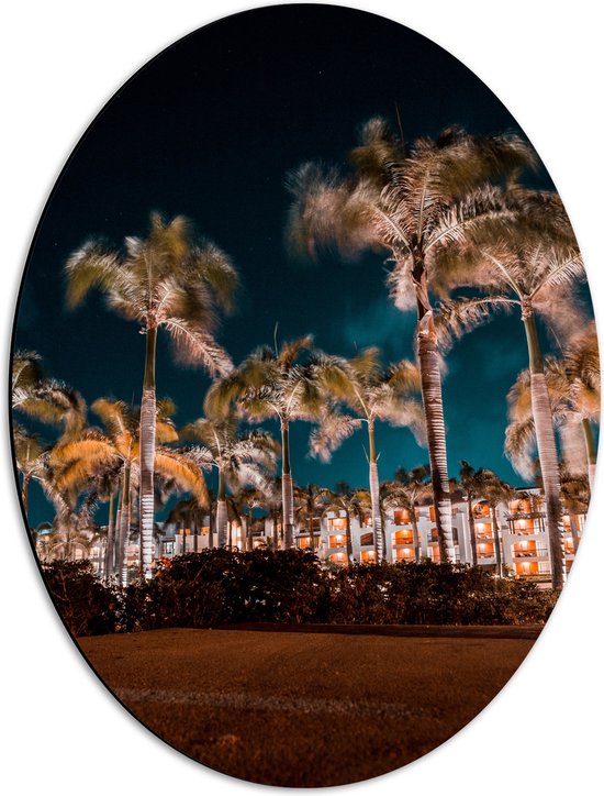 Dibond Ovaal - Verlichte Palmbomen in Nacht - 42x56 cm Foto op Ovaal (Met Ophangsysteem)