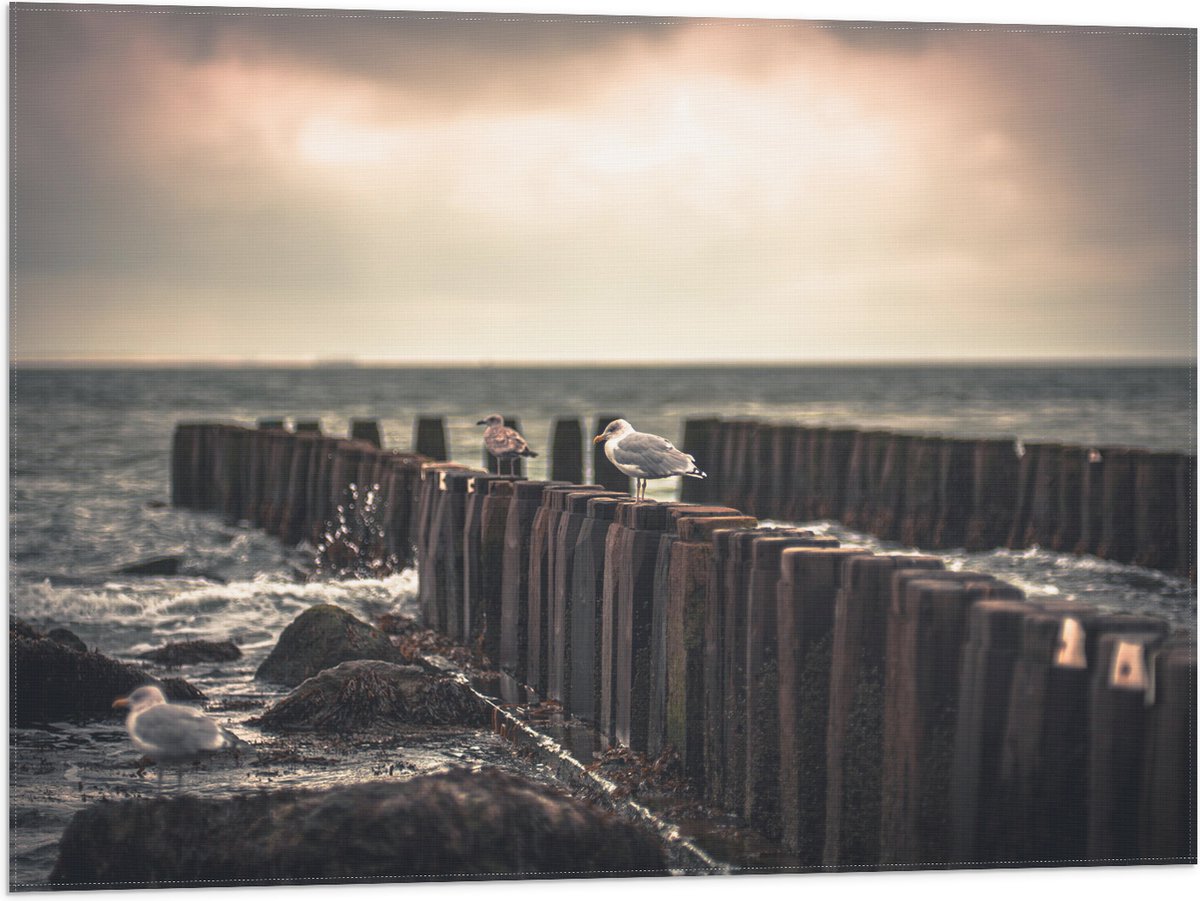 Vlag - Meeuwen op Houten Palen bij de Zee - 80x60 cm Foto op Polyester Vlag