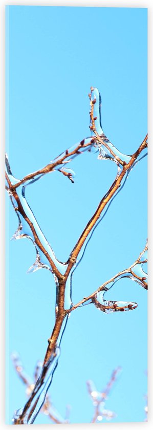 WallClassics - Acrylglas - Bevroren Wintertak bij Heldere Lucht - 20x60 cm Foto op Acrylglas (Met Ophangsysteem)