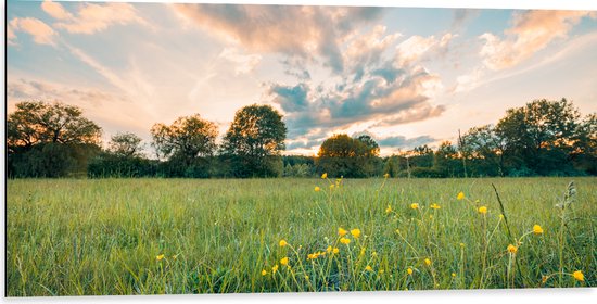 Dibond - Zonsondergang onder een Landschap met Gele Bloemen - 100x50 cm Foto op Aluminium (Met Ophangsysteem)