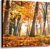 Canvas - Bos in de Herfst vanaf Kikkerperspectief - 100x100 cm Foto op Canvas Schilderij (Wanddecoratie op Canvas)