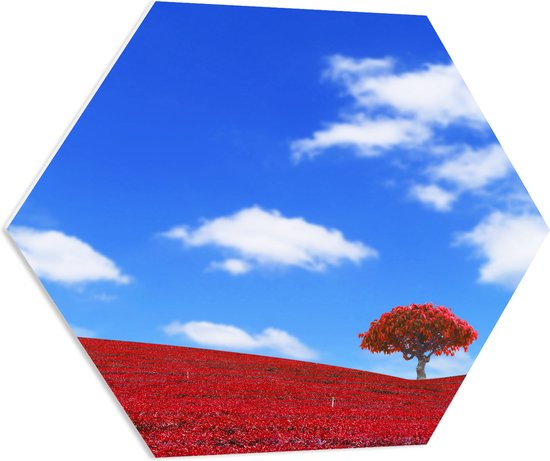 PVC Schuimplaat Hexagon - Kleurrijk Rood Gekleurd Landschap met Blauwe Lucht - 70x60.9 cm Foto op Hexagon (Met Ophangsysteem)