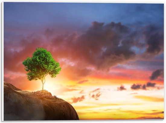 PVC Schuimplaat- Fel Groen Gekleurde Boom met Prachtige Zonsondergang op een Berglandschap - 40x30 cm Foto op PVC Schuimplaat