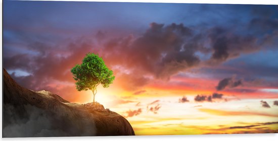 Dibond - Fel Groen Gekleurde Boom met Prachtige Zonsondergang op een Berglandschap - 100x50 cm Foto op Aluminium (Wanddecoratie van metaal)