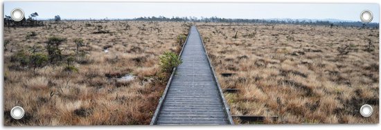 Tuinposter – Vlonderpad over het Riet - 60x20 cm Foto op Tuinposter (wanddecoratie voor buiten en binnen)