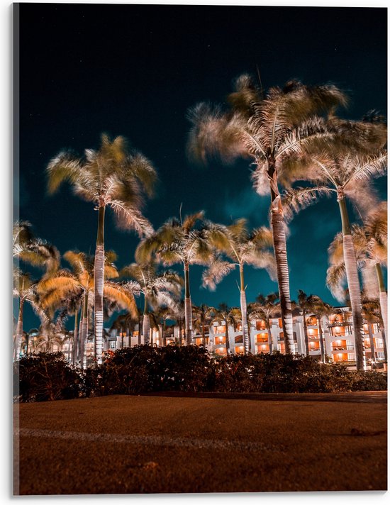 Acrylglas - Verlichte Palmbomen in Nacht - 30x40 cm Foto op Acrylglas (Met Ophangsysteem)