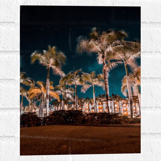 Muursticker - Verlichte Palmbomen in Nacht - 30x40 cm Foto op Muursticker