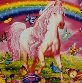 Diamond painting 30 x 30 CM canvas - 25 x 25 cm painting - 5D - kleurrijke achtergrond, regenboog met paard