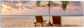 Tuinposter – Twee Ligbedden op het Strand met Palmboom - 90x30 cm Foto op Tuinposter (wanddecoratie voor buiten en binnen)