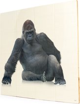 Gorilla sit - 4x4 Steigerhout Tegeltableau