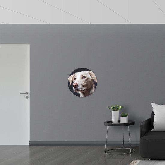 PVC Schuimplaat Muurcirkel - Schattige Witte Hond - 60x60 cm Foto op Muurcirkel (met ophangsysteem)
