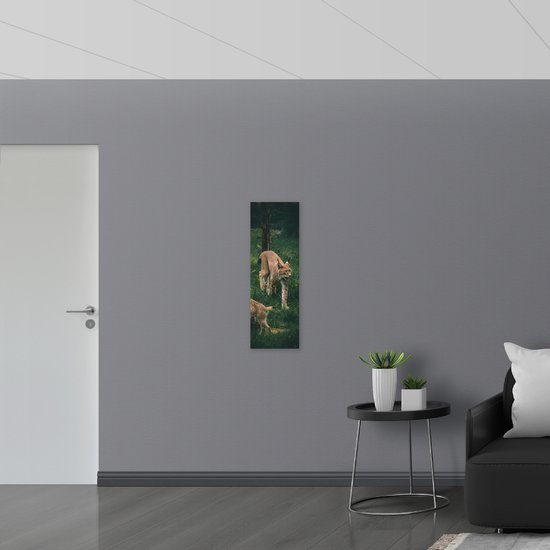 WallClassics - Muursticker - Bébé lynx avec sa mère derrière une clôture - 30x90 cm Photo sur Muursticker