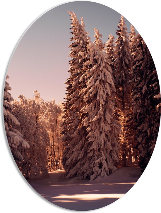 WallClassics - PVC Schuimplaat Ovaal - Bomen in het Bos onder de Sneeuw - 42x56 cm Foto op Ovaal (Met Ophangsysteem)