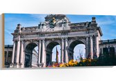 WallClassics - Hout - Monument in Brussel met Bloemen - 100x50 cm - 9 mm dik - Foto op Hout (Met Ophangsysteem)