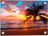 Tuinposter – Palmboom op Prachtig Verlaten Strand met Zonsondergang - 40x30 cm Foto op Tuinposter (wanddecoratie voor buiten en binnen)