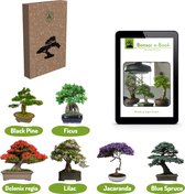 Bonsai zaden 6 soorten Incl. e-Book - Kweekset - Boompje in Pot - Kamerplanten