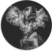 WallClassics - Dibond Muurcirkel - Hond met Wapperende Grote Oren in het Zwart Wit - 60x60 cm Foto op Aluminium Muurcirkel (met ophangsysteem)