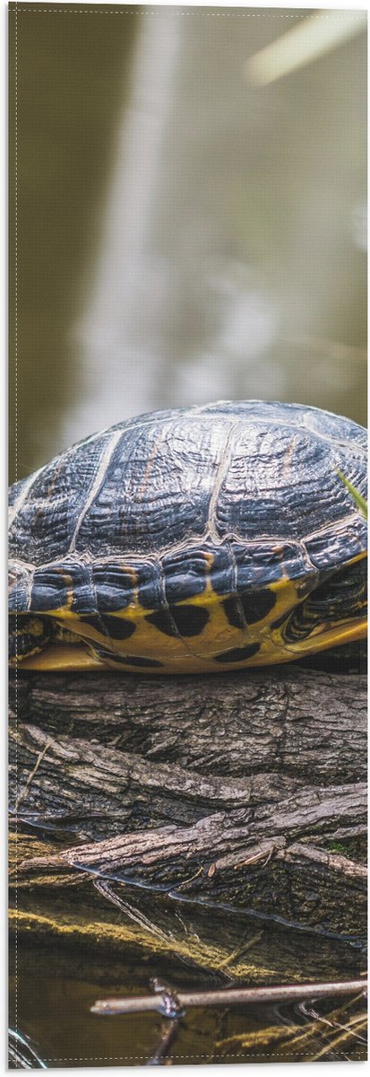 Vlag - Groene Schildpad op Boomstam op het Water - 20x60 cm Foto op Polyester Vlag