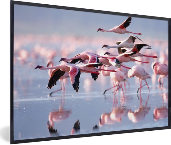 Fotolijst incl. Poster - Roze flamingo's op het water - 90x60 cm - Posterlijst