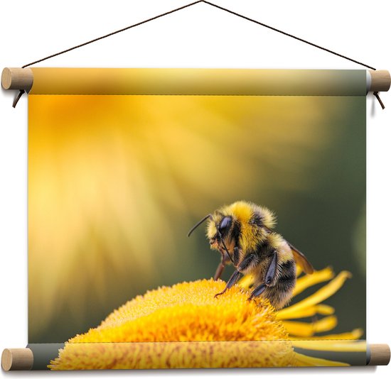 WallClassics - Affiche textile - Abeille sur une Bloem jaune - 40x30 cm Photo sur textile