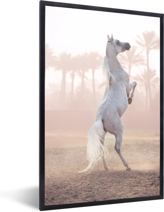 Photo encadrée - Cheval Wit avec palmiers cadre photo noir sans passe partout 60x90 cm - Affiche encadrée (Décoration murale salon / chambre)