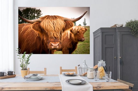 Papier pour affiche de deux Highlanders écossais