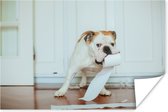 Poster Hond spelend met wc-papier - 120x80 cm