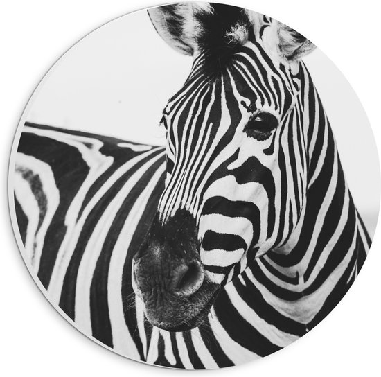 WallClassics - PVC Schuimplaat Muurcirkel - Zwart met Witte Zebra - 20x20 cm Foto op Muurcirkel (met ophangsysteem)