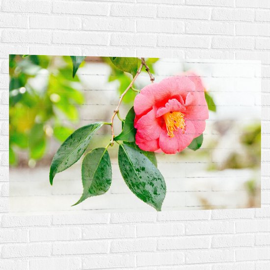 WallClassics - Muursticker - Roze Bloem aan een Boom - 120x80 cm Foto op Muursticker