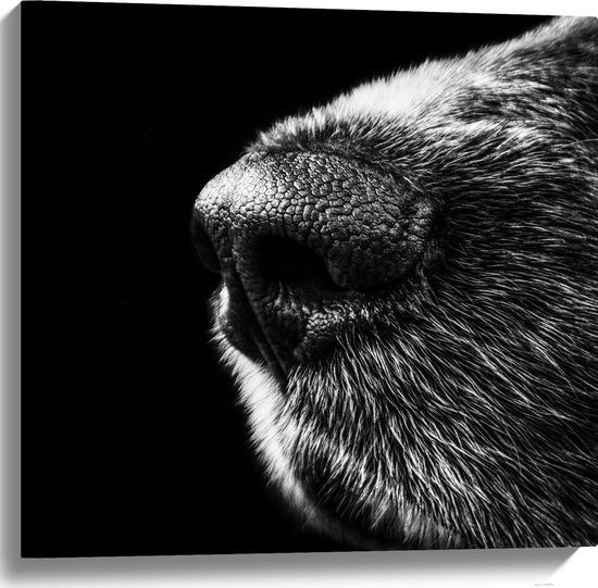 WallClassics - Canvas - Honden Snuit Zwart met Wit - 60x60 cm Foto op Canvas Schilderij (Wanddecoratie op Canvas)