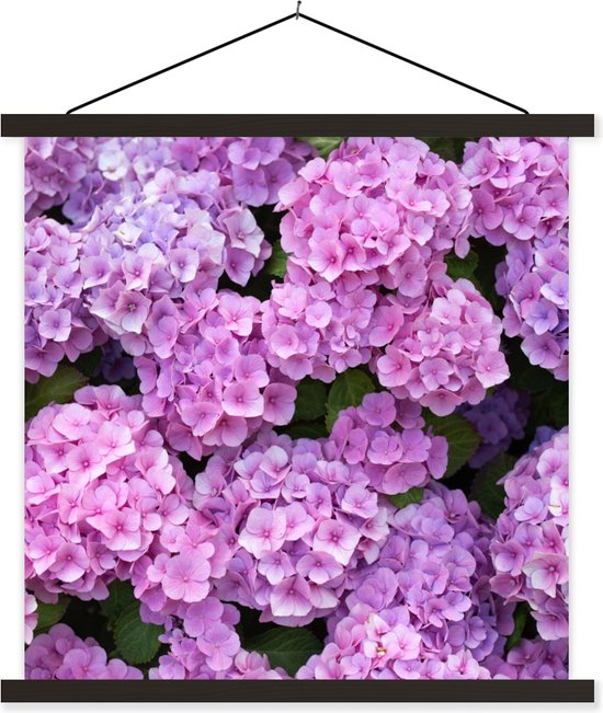 Posterhanger incl. Poster 60x60 cm - Schoolplaat - Bloemen - Hortensia - Struik - Roze - Bloemblaadjes - Textielposter - Zwarte latten