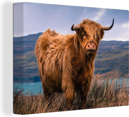 Canvas Schilderij Schotse hooglander - Lucht - Natuur - 120x90 cm - Wanddecoratie