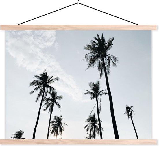 Porte-affiche avec affiche - Affiche scolaire - Palmiers - Été - Tropical - 60x45 cm - lattes vierges