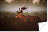 Affiche Cerf - Forêt - Brouillard - 30x20 cm