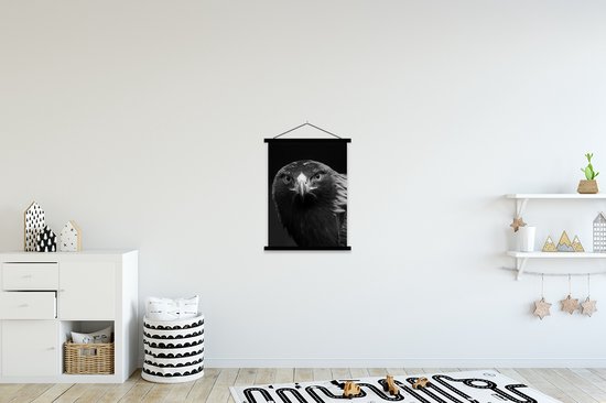 Porte-affiche avec affiche - Affiche scolaire - Buse - Vogel - Animaux - Zwart - Wit - 90x120 cm - Lattes noires