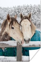 Poster Paarden - Deken - Sneeuw - 80x120 cm