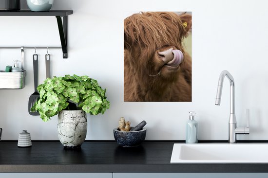 Affiche Highlander écossais - Marron - Animaux - 30x40 cm